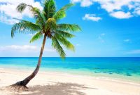 Tropical Beach Backgrounds - Wallpaper Cave Tropical Beach Backgrounds - Wallpaper Cave