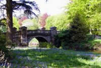 Free Images : landscape, tree, water, nature, forest, grass ... Free Images : landscape, tree, water, nature, forest, grass ...